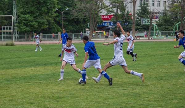 加图索自上 加图索自上