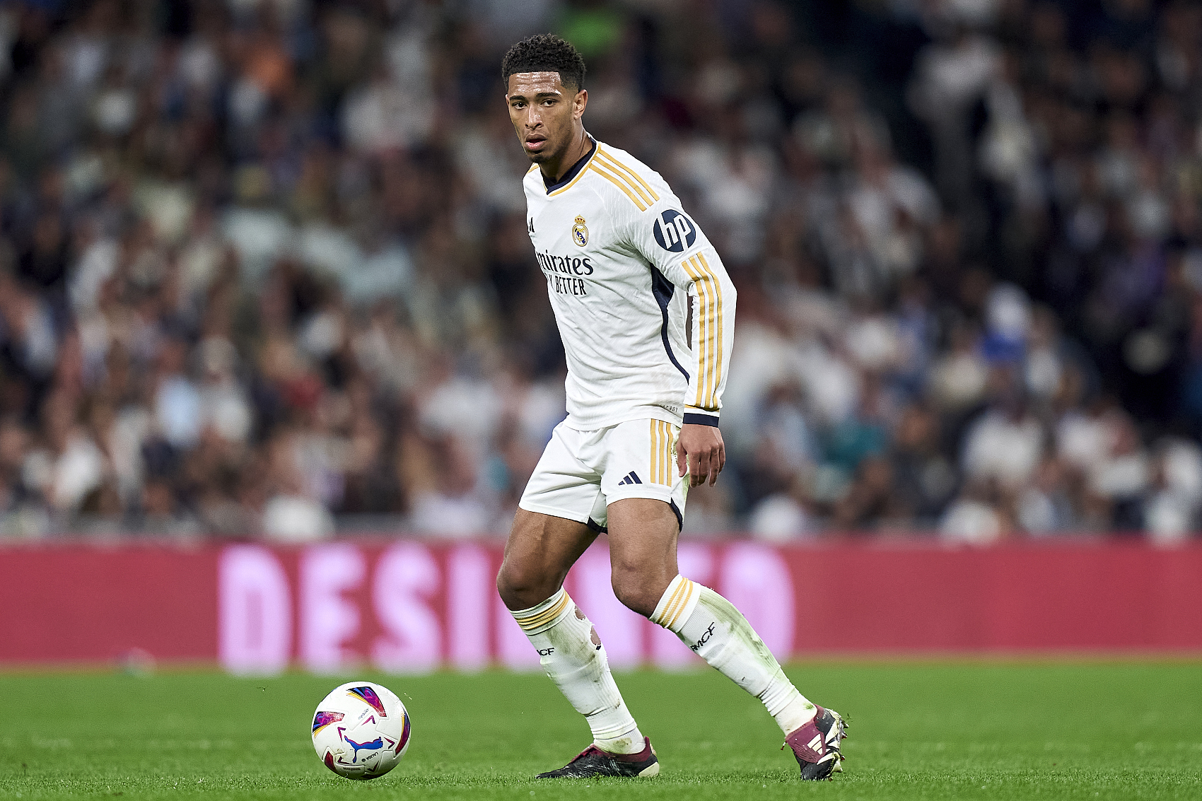 纵观整个事 纵观整个事