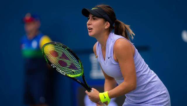 将很可能导 将很可能导